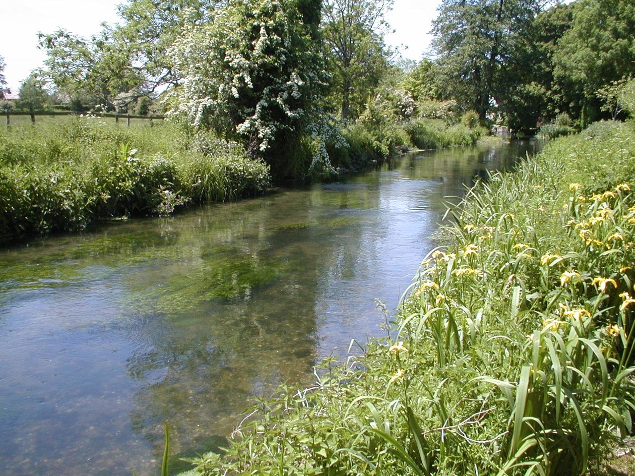 Wylye